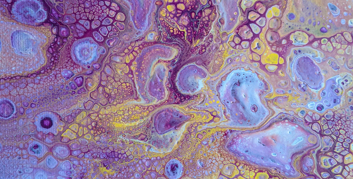 BIBL 6342 Hermeneutics