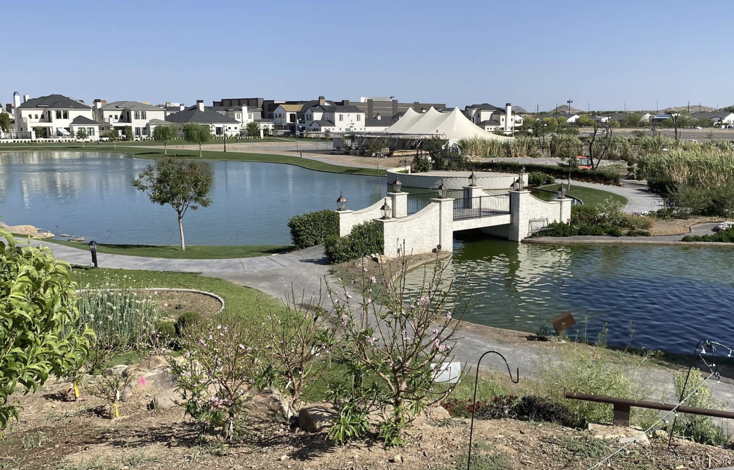 photo of Queen Creek botanical gardens