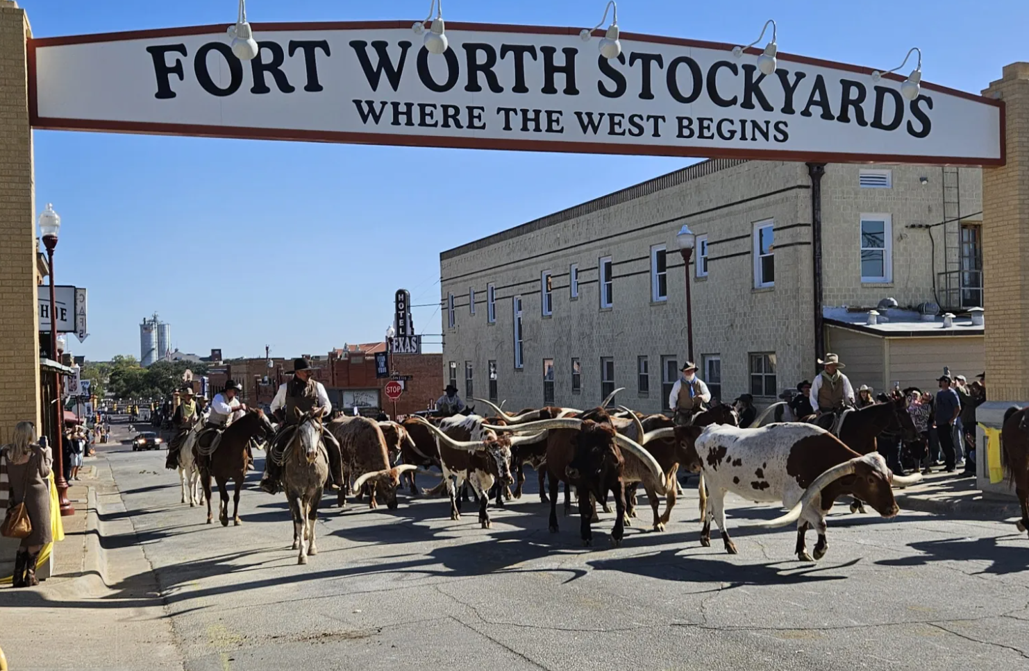 photo of stockyards in Fort Worth, Texas; image attribution KERA News
