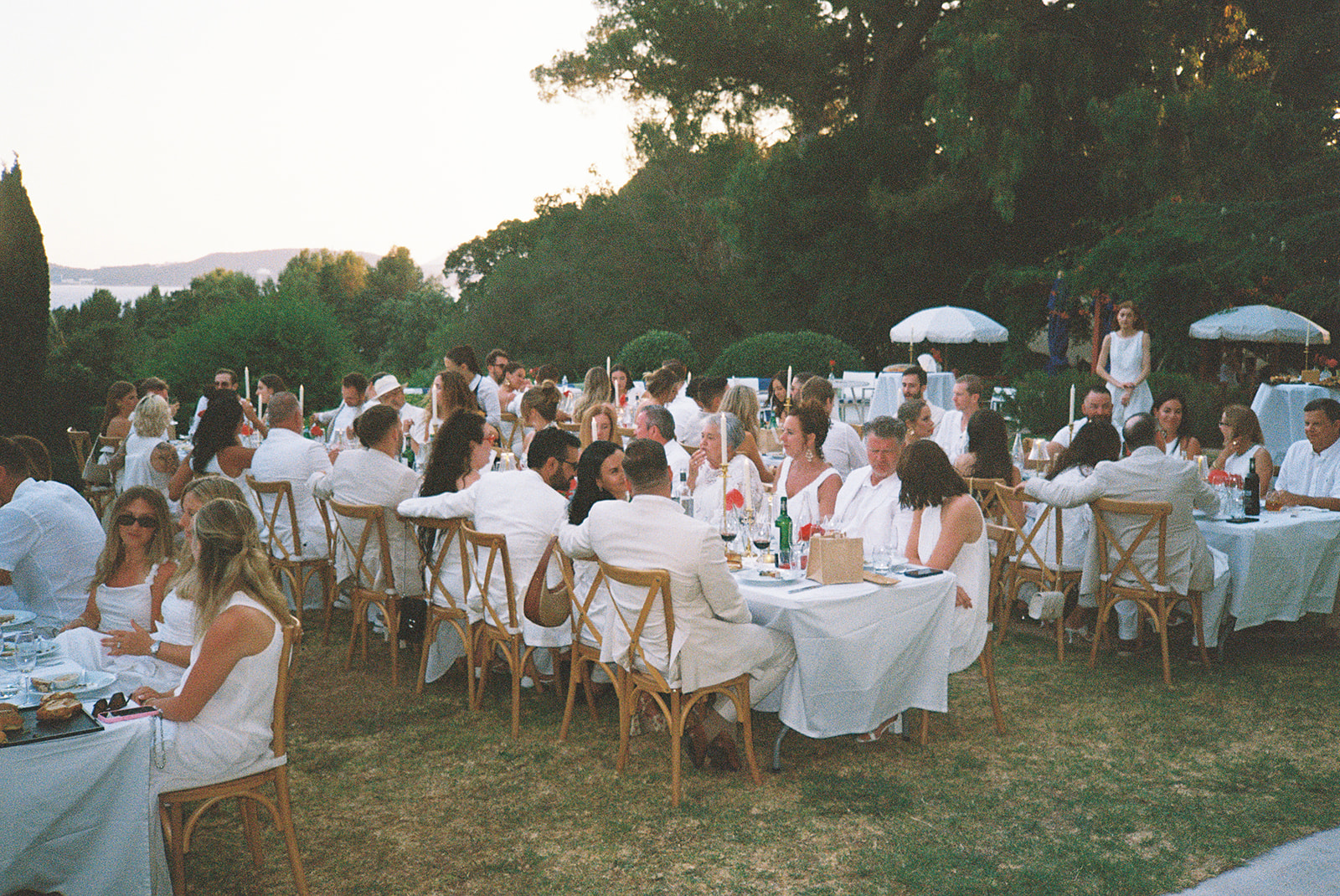 Le plan de table parfait : comment réunir familles et amis autour d'une même table