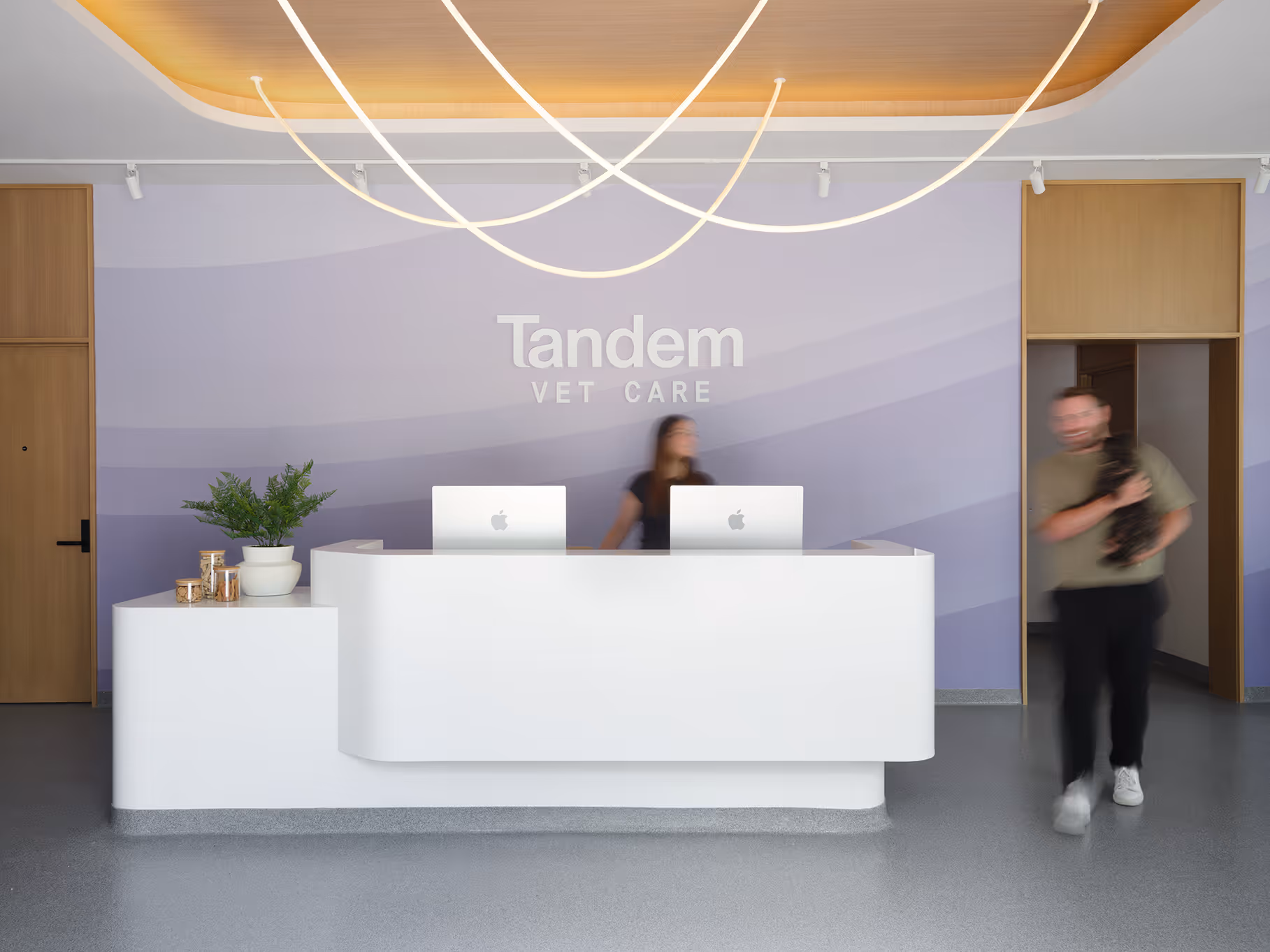 Tandem Somerville Hub Reception