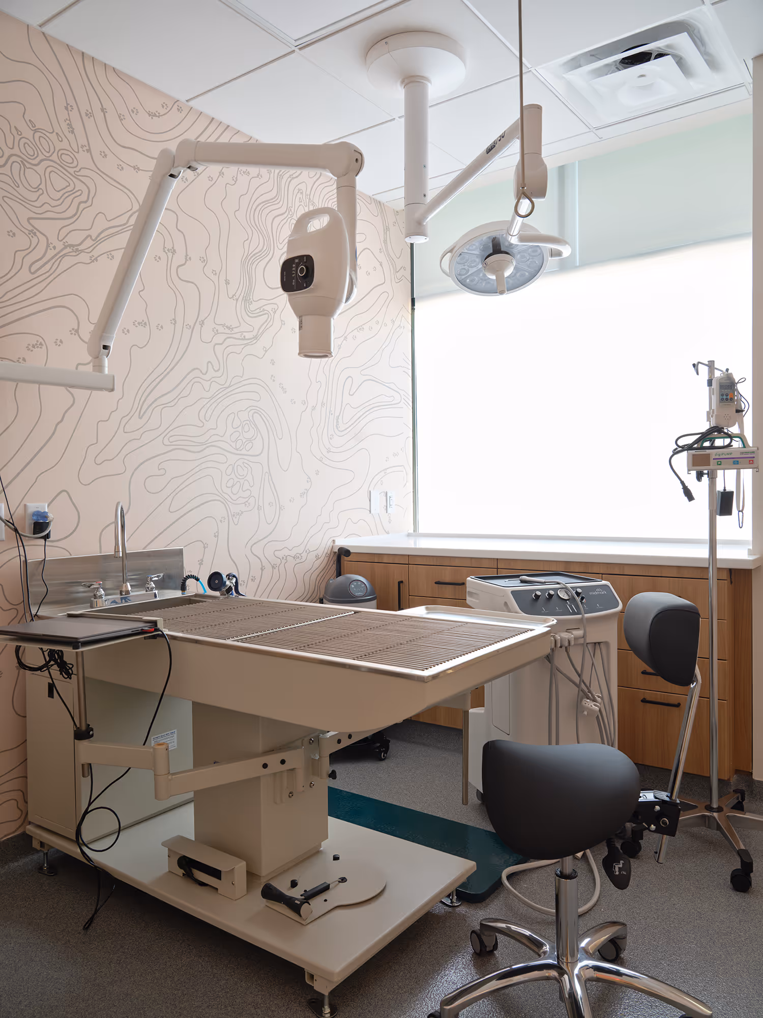 Dental suite