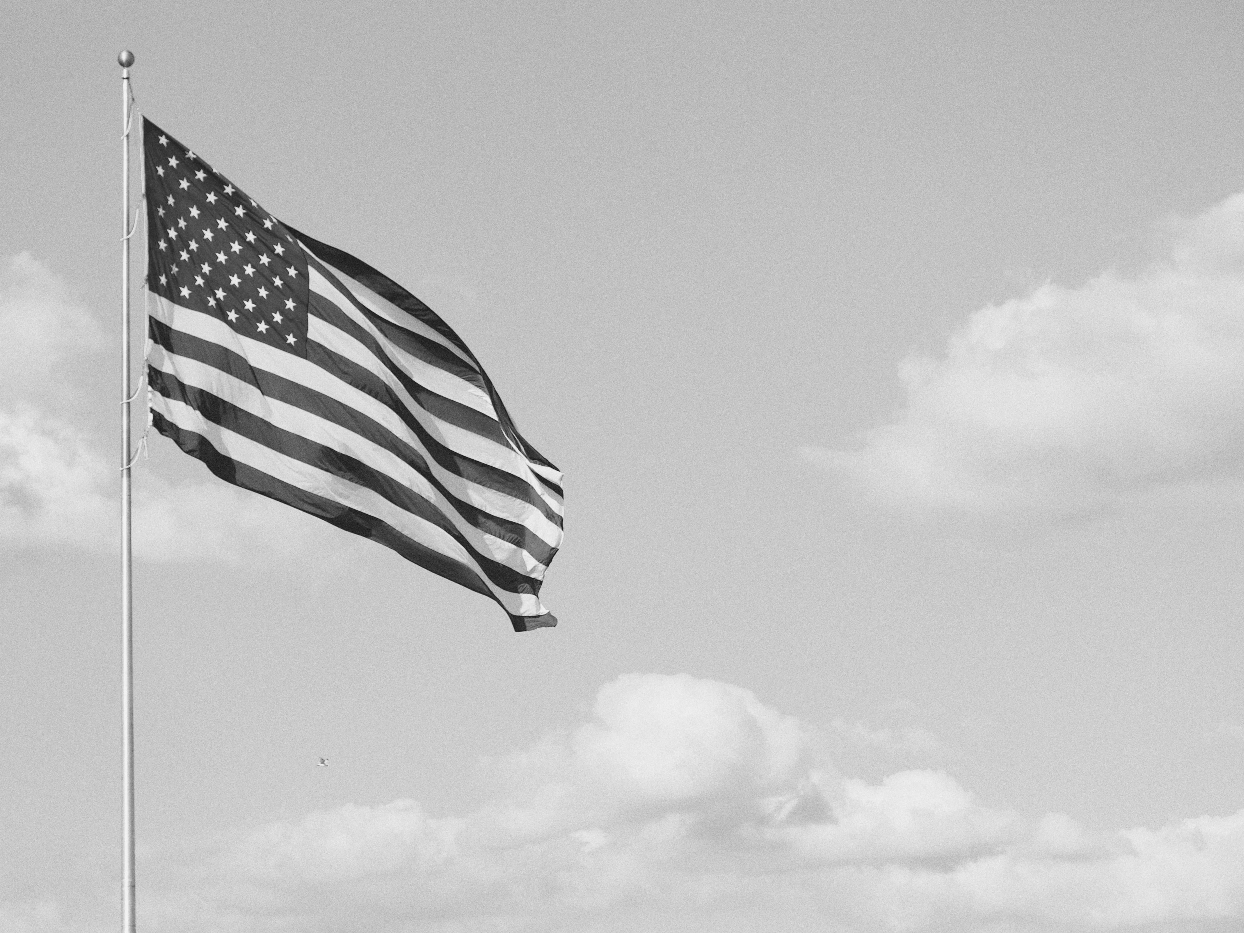 “Product of USA” Label Rule Now in Effect - What It Means for Meat, Poultry & Egg Products