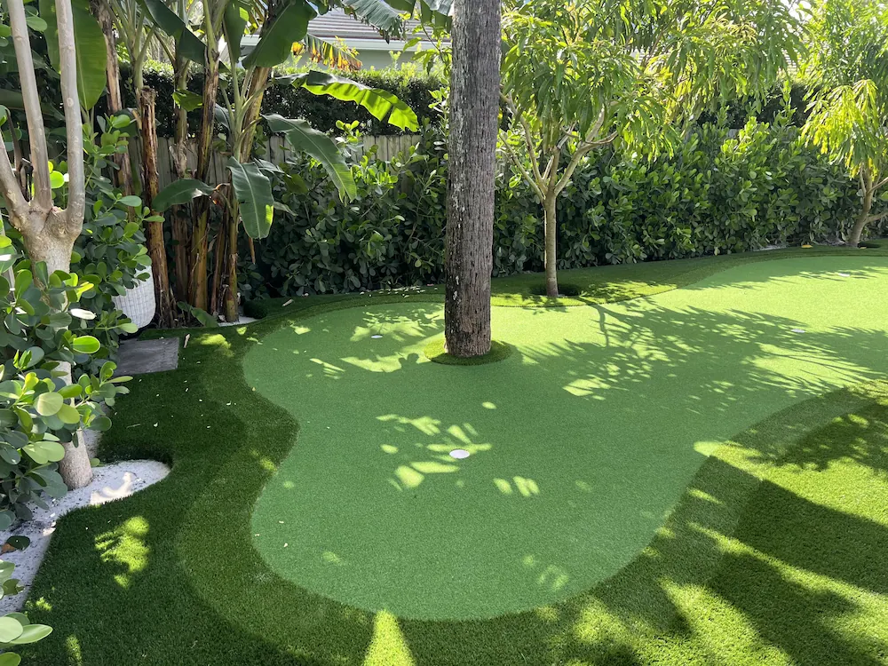 a green lawn with a small tree in the middle of it
