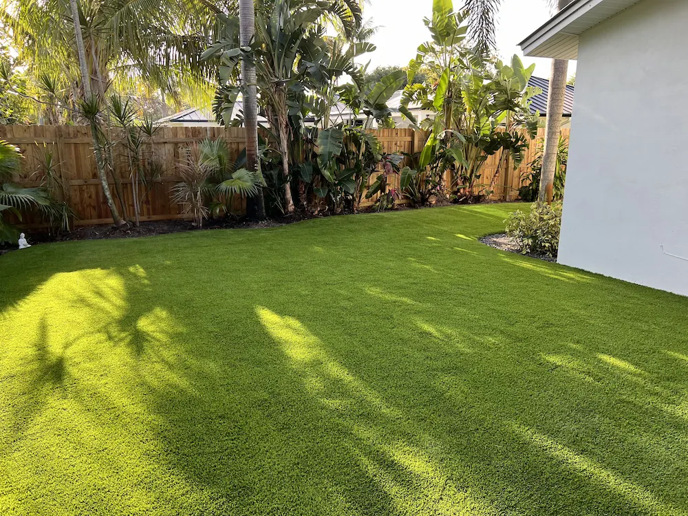 a backyard with green grass and palm trees