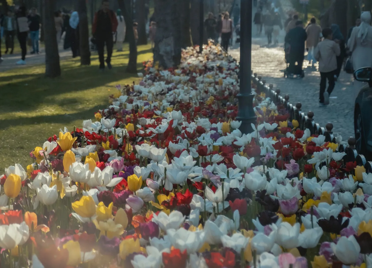 A bunch of flowers that are sitting in the grass
