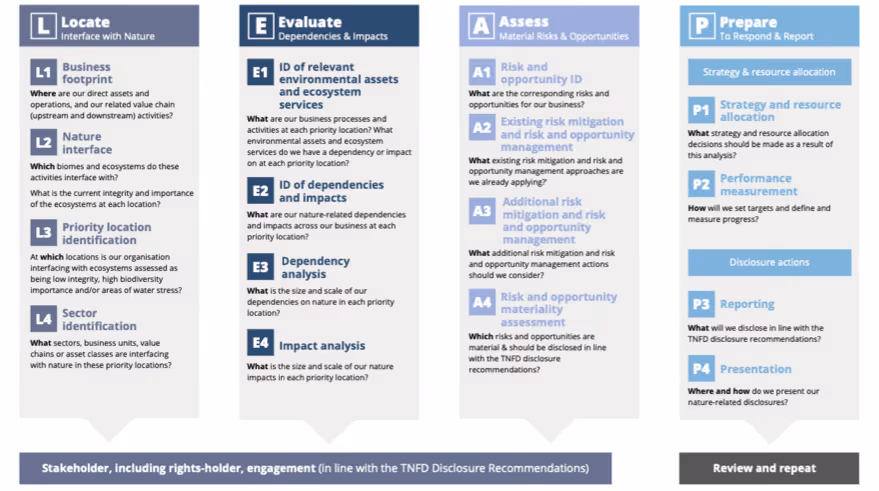 The LEAP framework by TNFD for assessing an organisation's impact on biodiversity loss