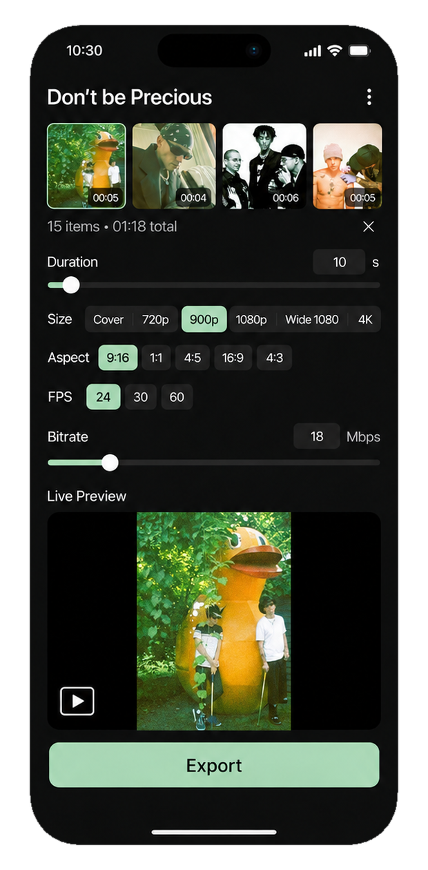 Don’t Be Precious app with media loaded and live preview