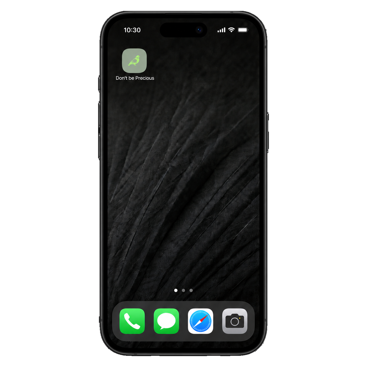 Don’t Be Precious app on the iPhone home screen