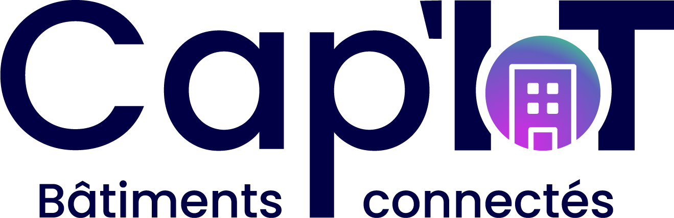 Logo Cap IOT by Synox 2025