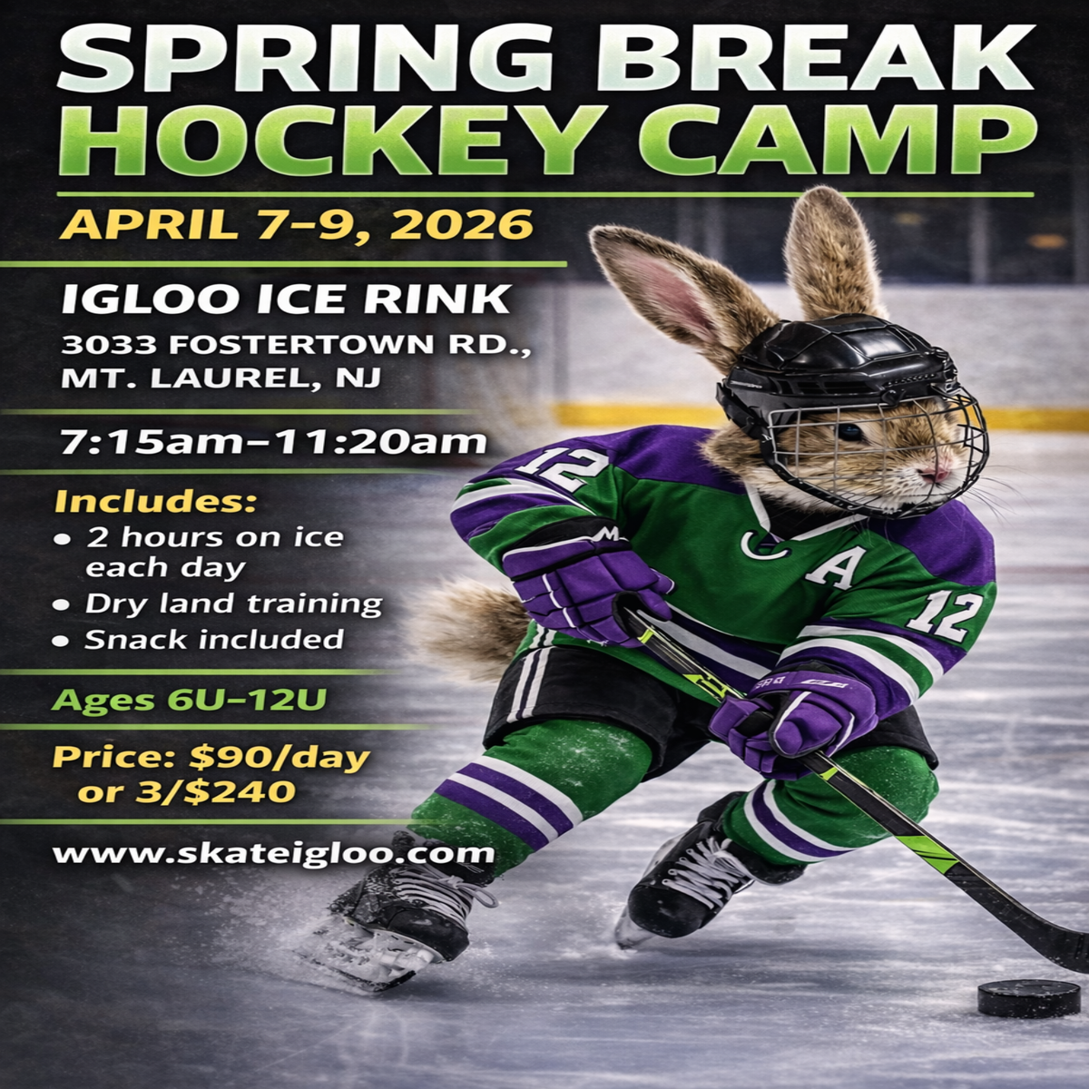 Spring Break Hockey Camp