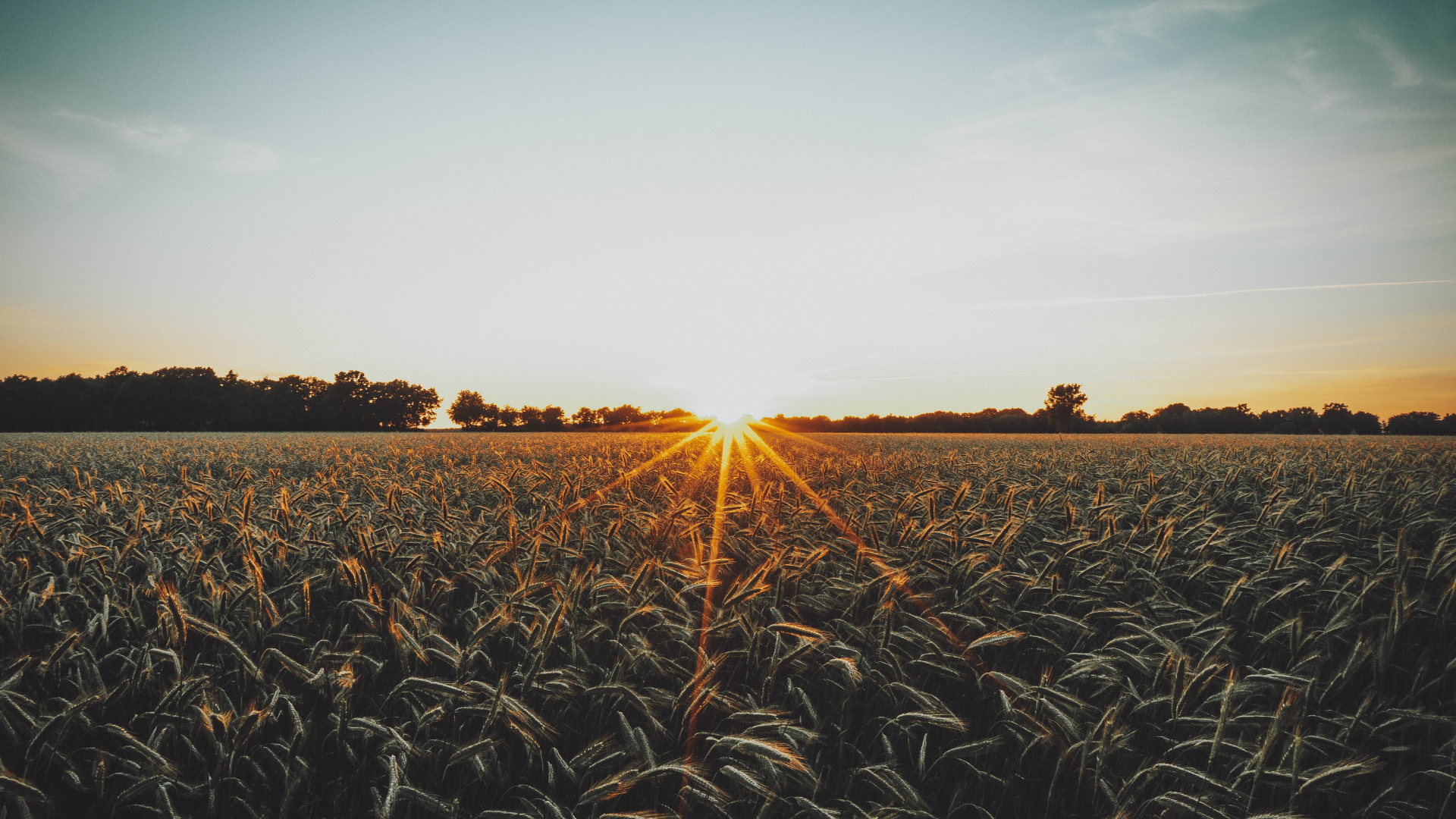 Ya conocemos a los 10 finalistas de la III edición del concurso de proyectos con impacto social y ambiental en el medio rural 