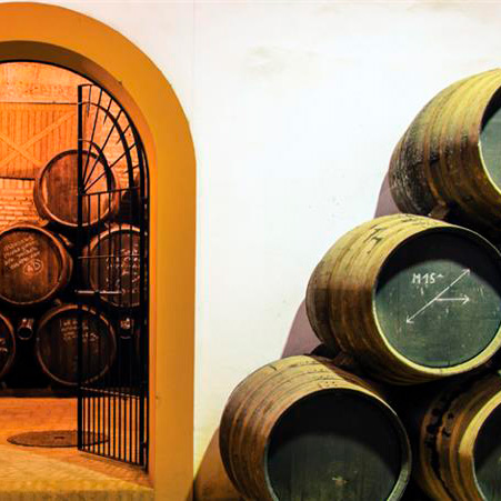 Cómo poner en valor los vinos que Colón llevó a América: la ruta de los vinos del Condado de Huelva