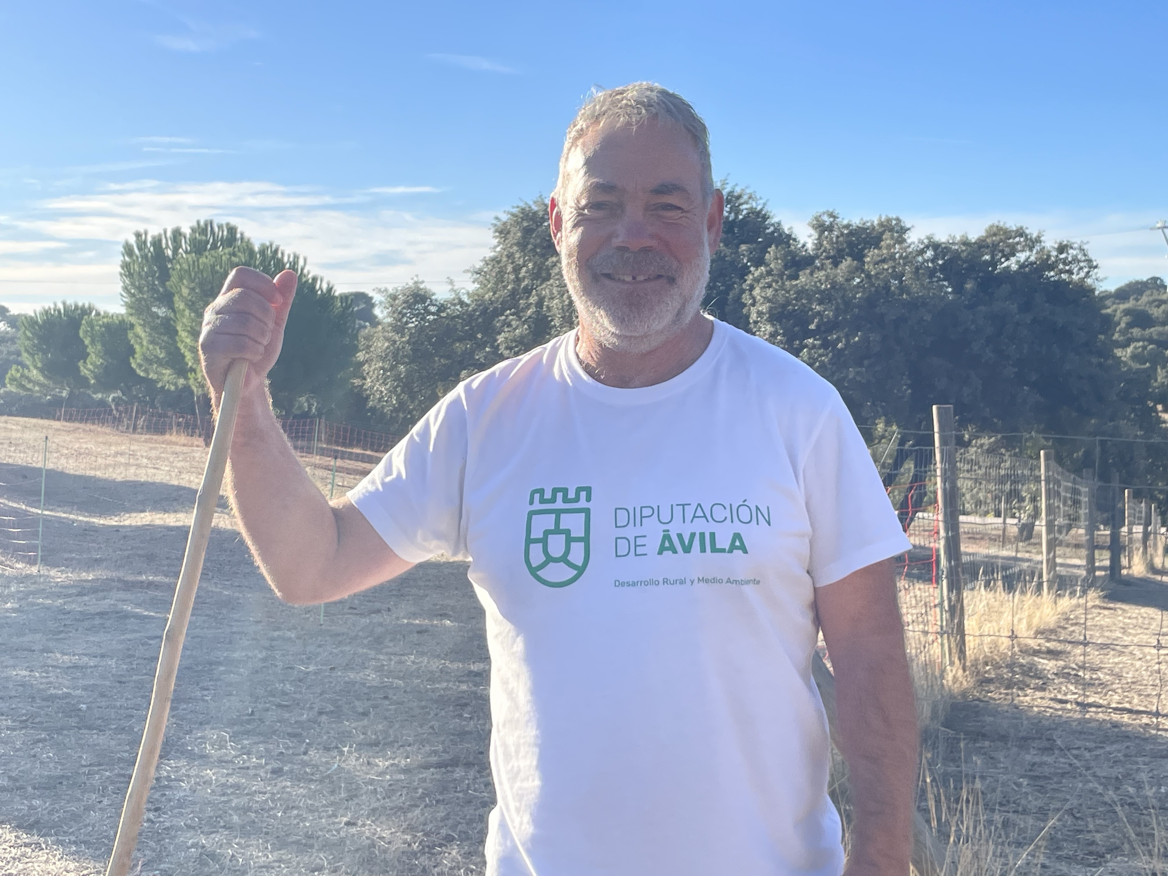 Rebaños municipales que cuidan el monte y preservan las razas autóctonas: así es el rebaño de la Diputación de Ávila