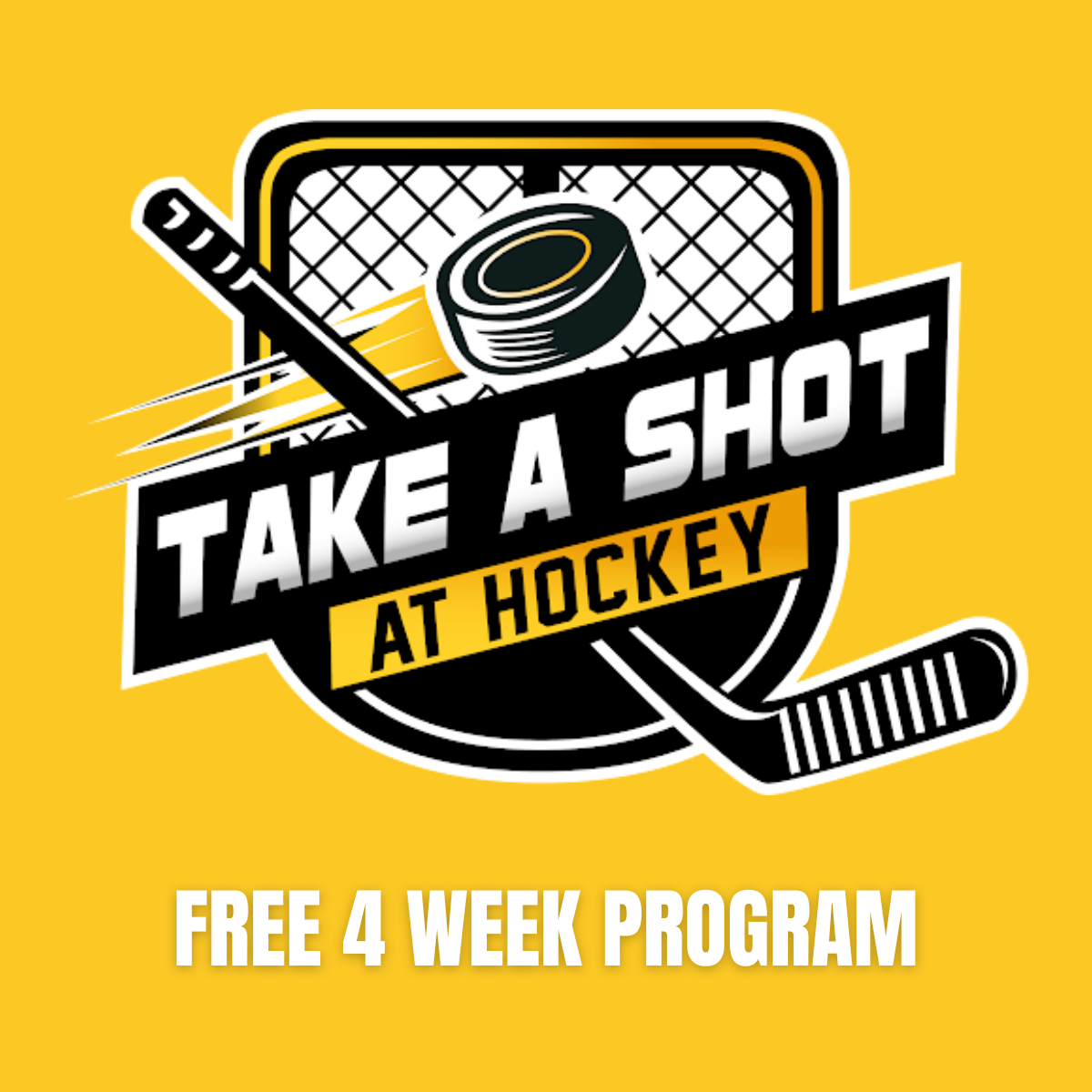 Take A Shot At Hockey