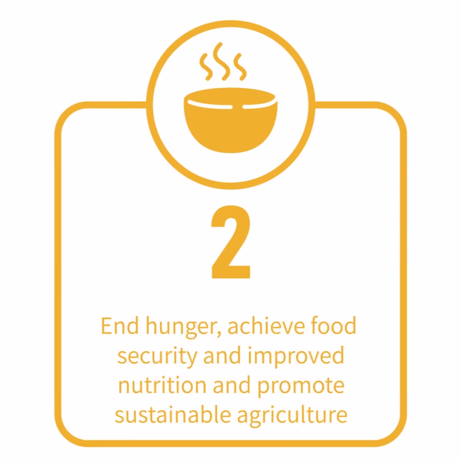 UN sustainability goal with text number 2