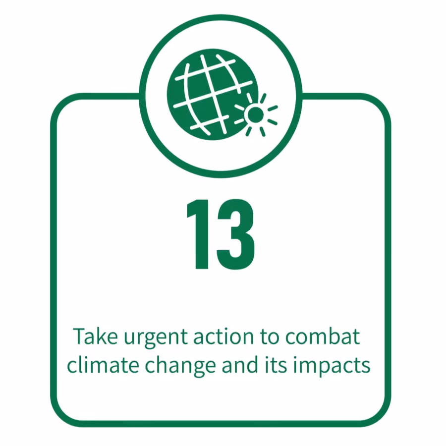 UN sustainability goal with text number 13