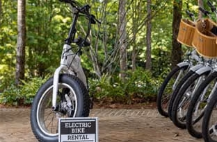 electric bikes