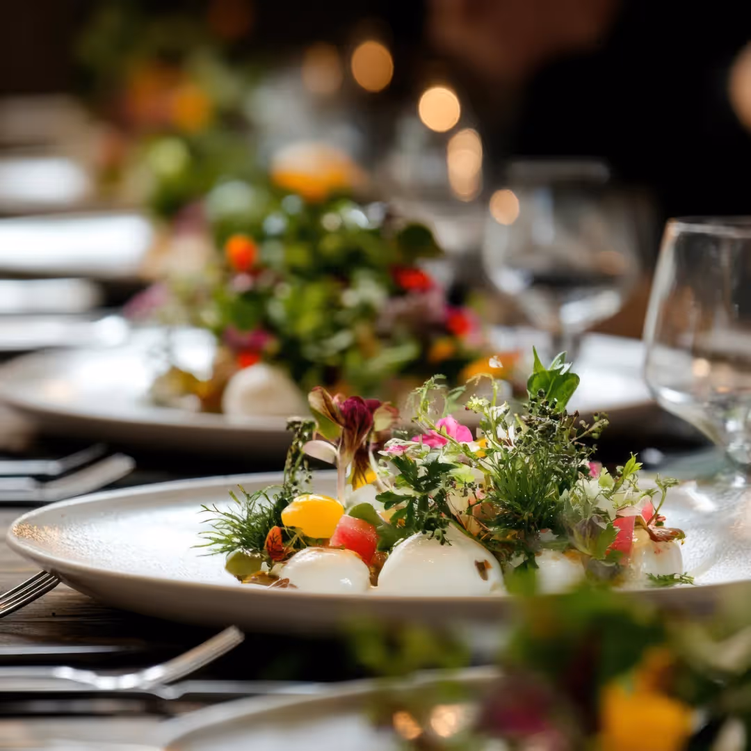 Farm to table plated salads featuring sprouts and edible flowers.