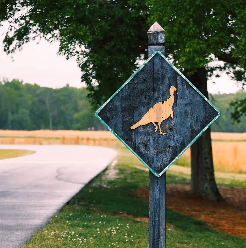 On-property road sign featuring turkey crossing icon.