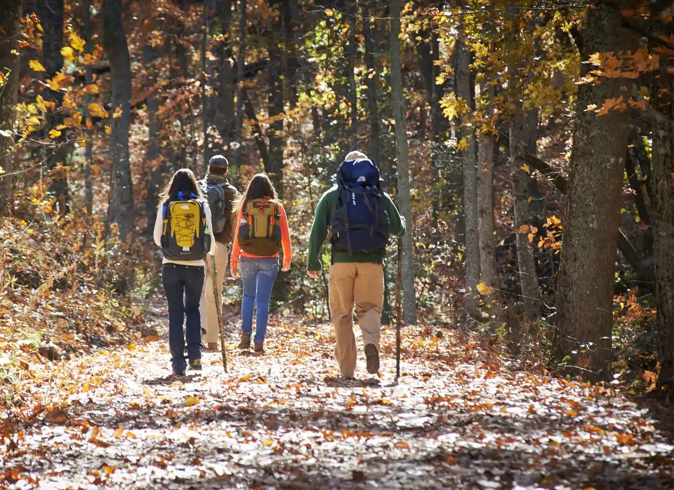 a group of people hiking on a trail
