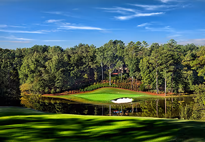 Putting Green surrounded by land and trees