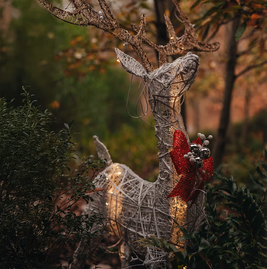 On-property road sign featuring turkey crossing icon.