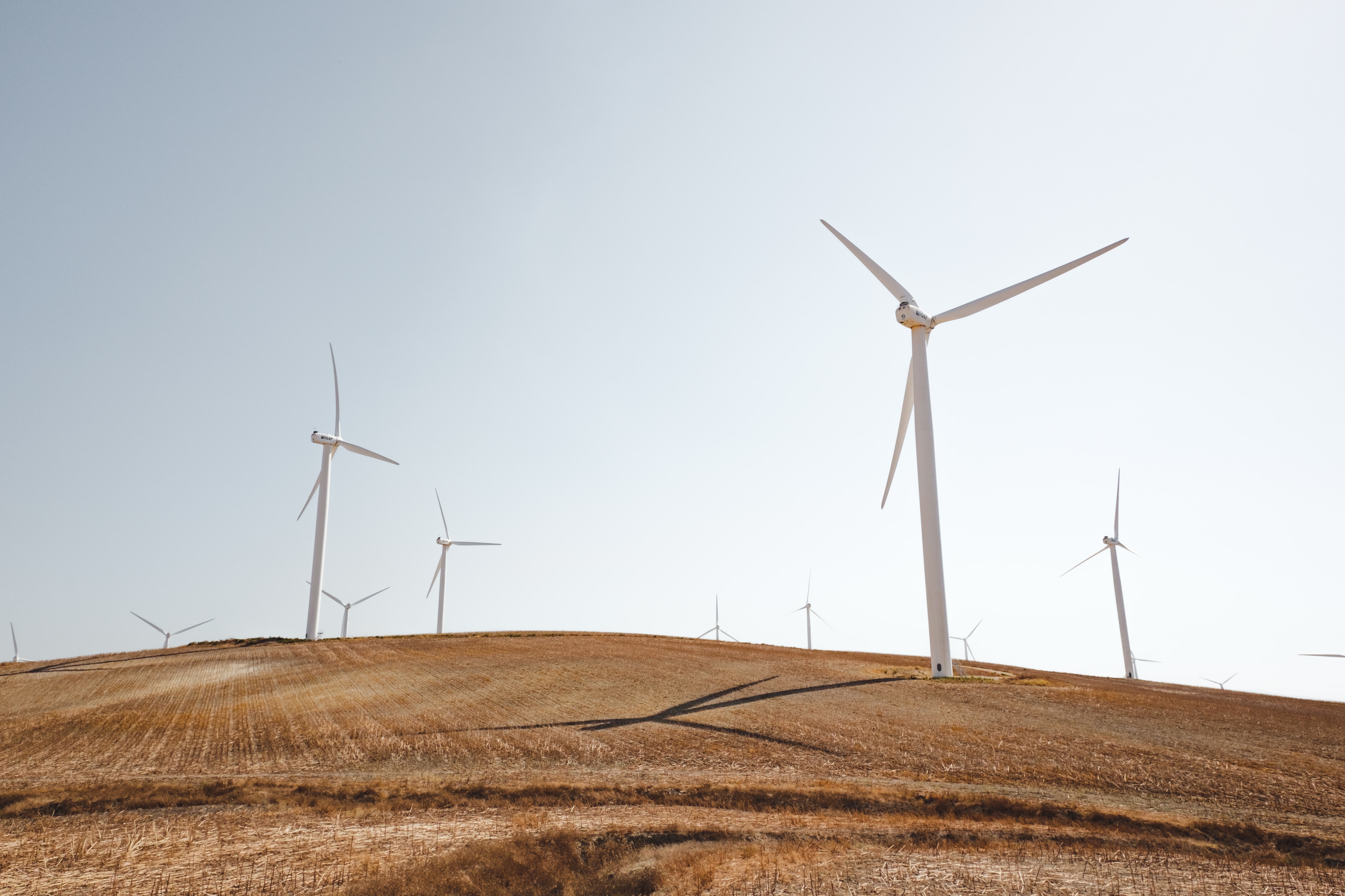 What does it mean if my investor is a signatory to Climate Action 100+?