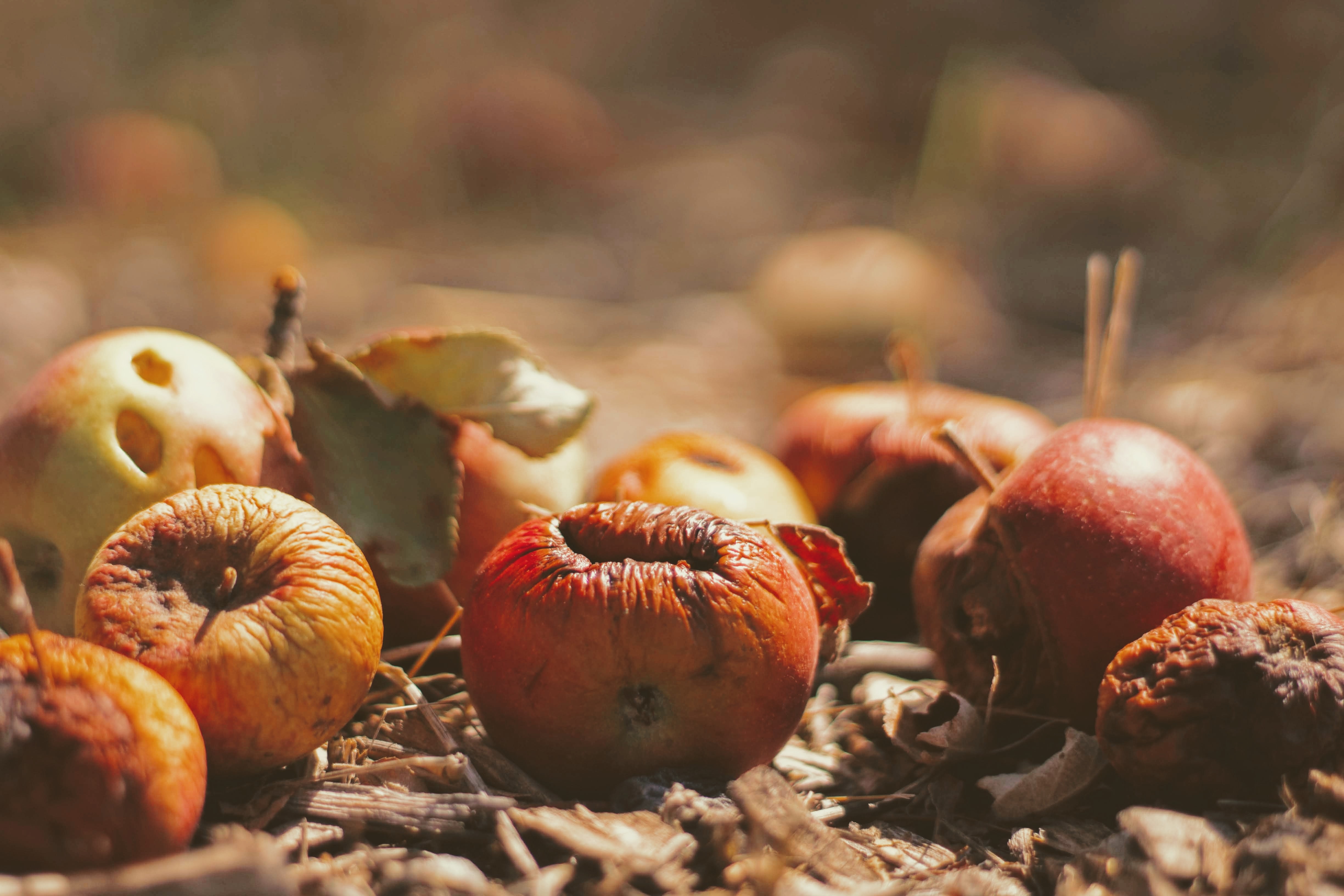 What problems do companies face with ESG today?
