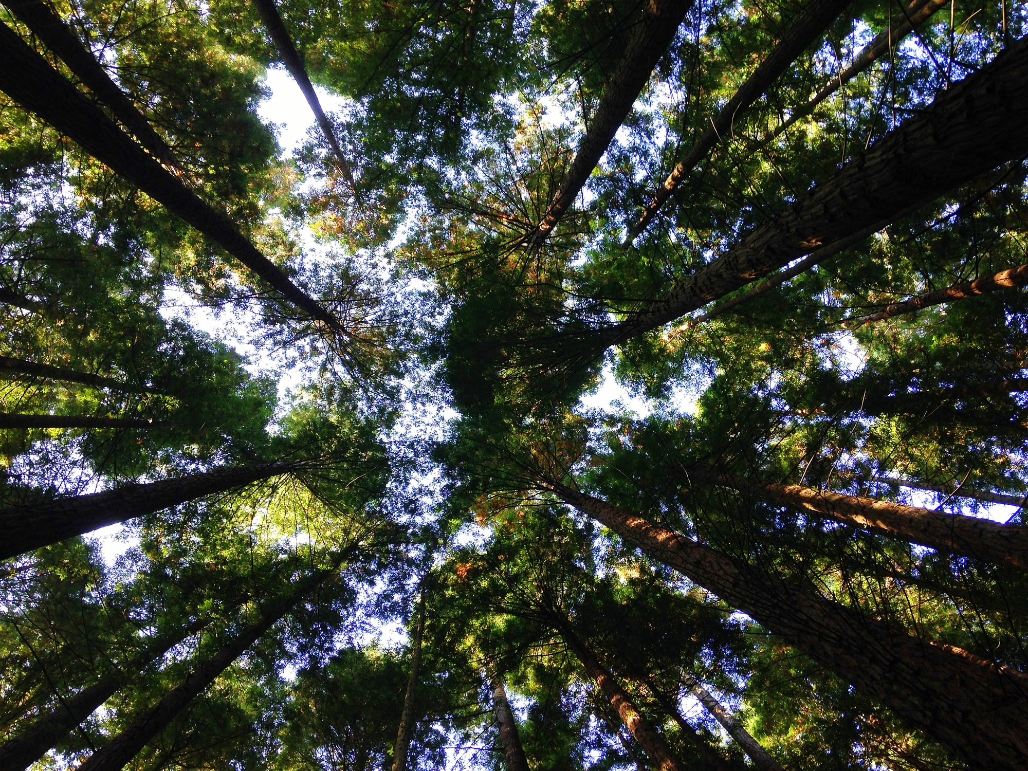 IMP+ACT Alliance: A new way to understand the impact of your investments