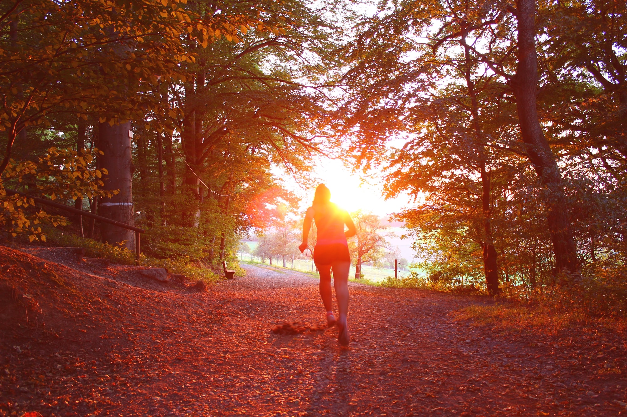 Bringing the well-being back to wealth: Meet Tribe Impact Capital
