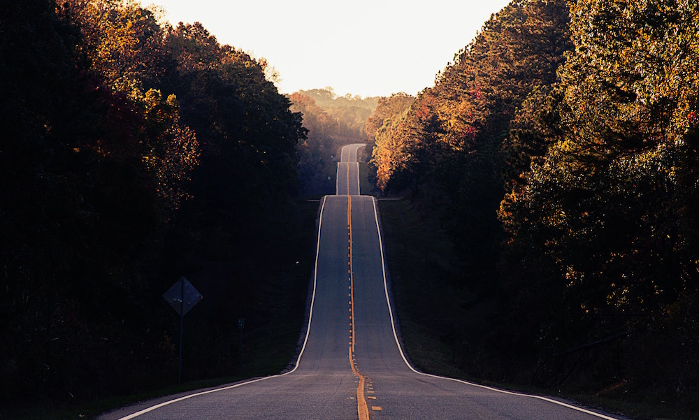 A Guide to getting started with ESG: All the best introductory ESG resources in one place.