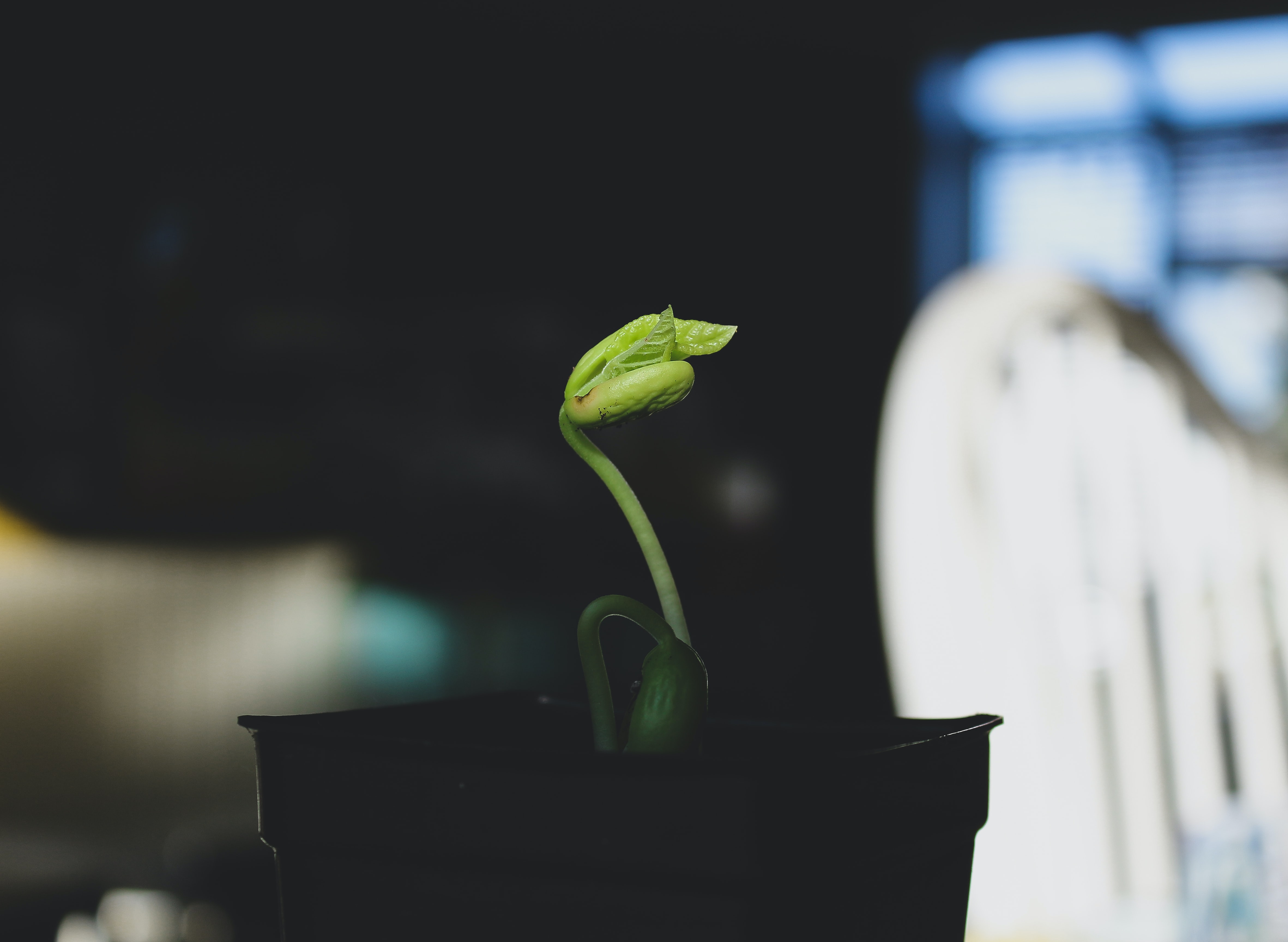 ‘Venturing’ into the world of ESG: A new VC community and its engagement with value-aligned funding
