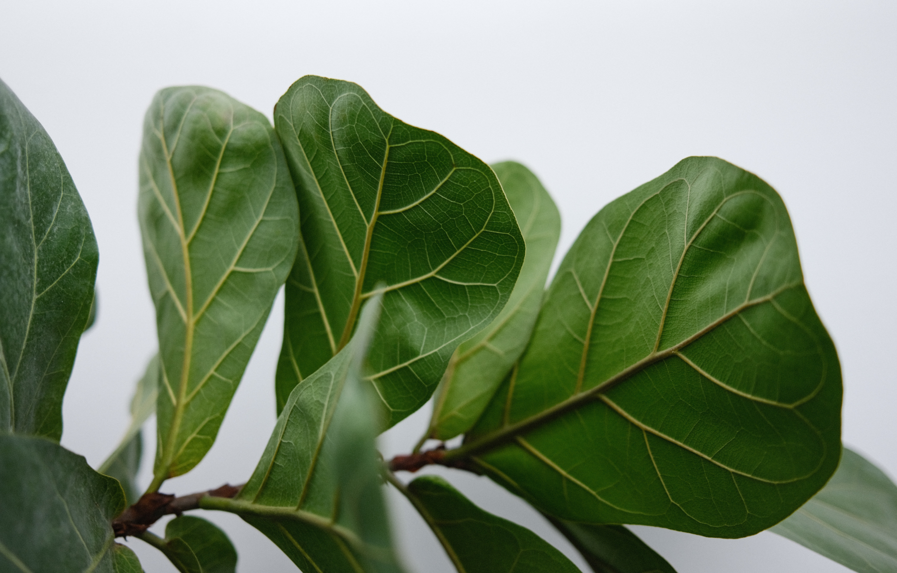 What makes the GRI a unique standard-setter in the corporate sustainability space?