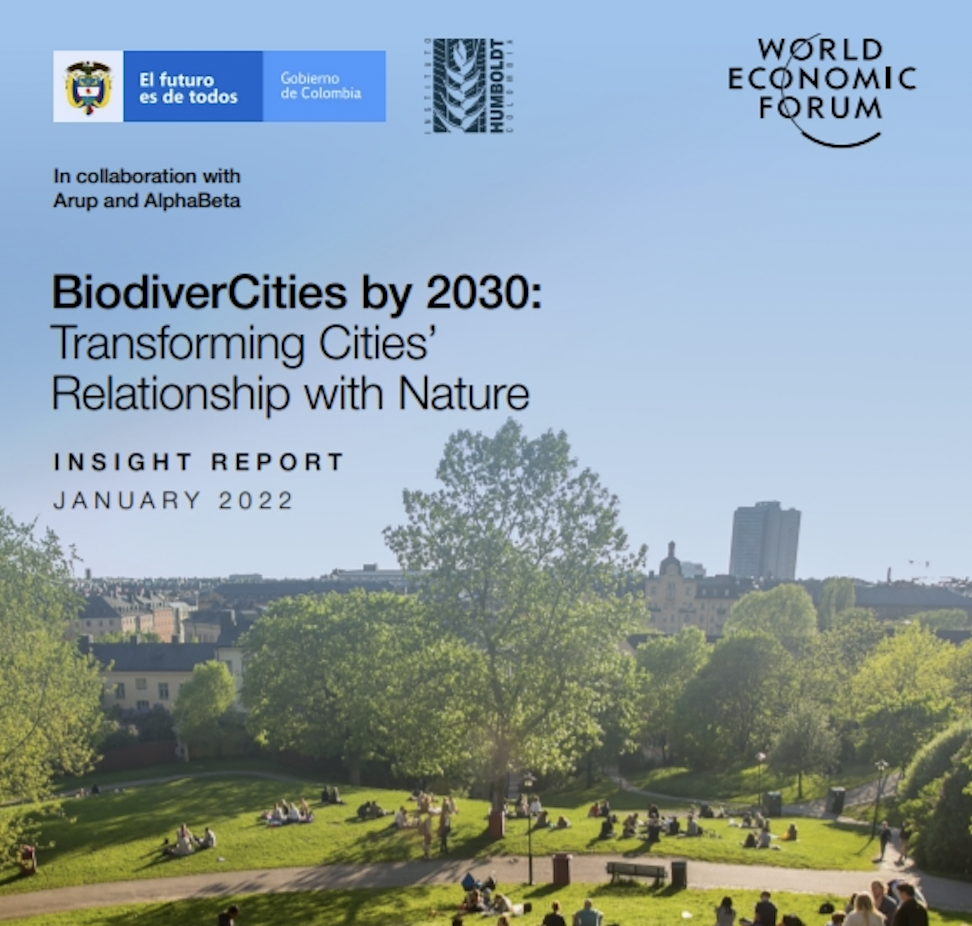 BiodiverCities by 2030: Transforming cities’ relationship with nature