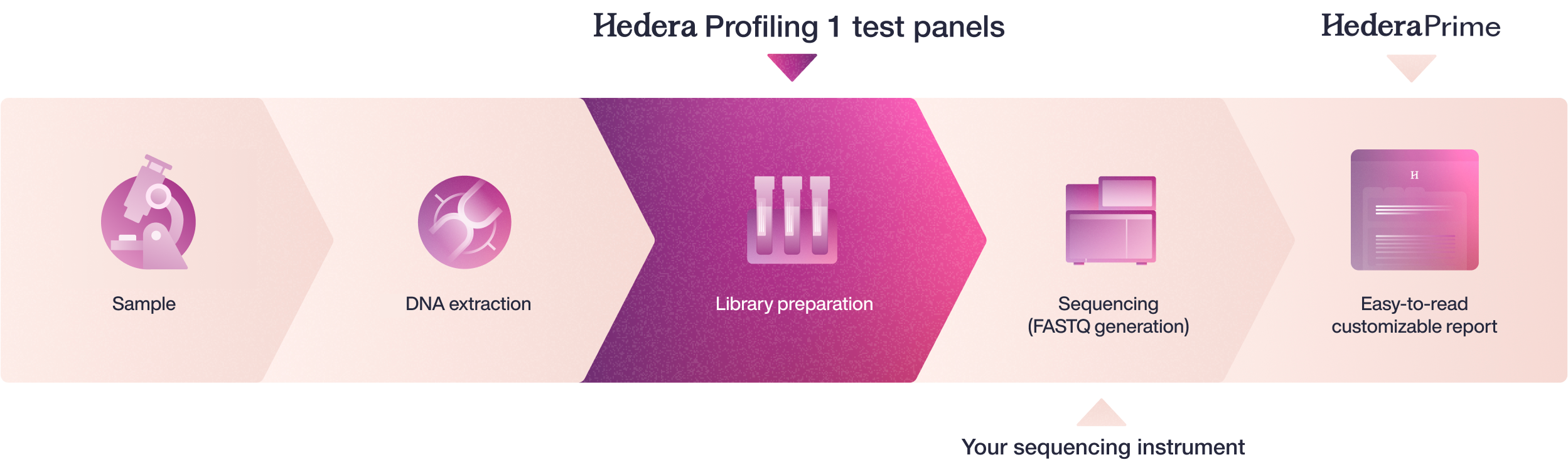 Hedera Profiling 1 test panels sample-to-report workflow