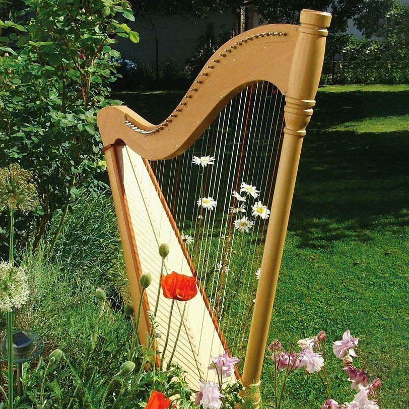 Harp