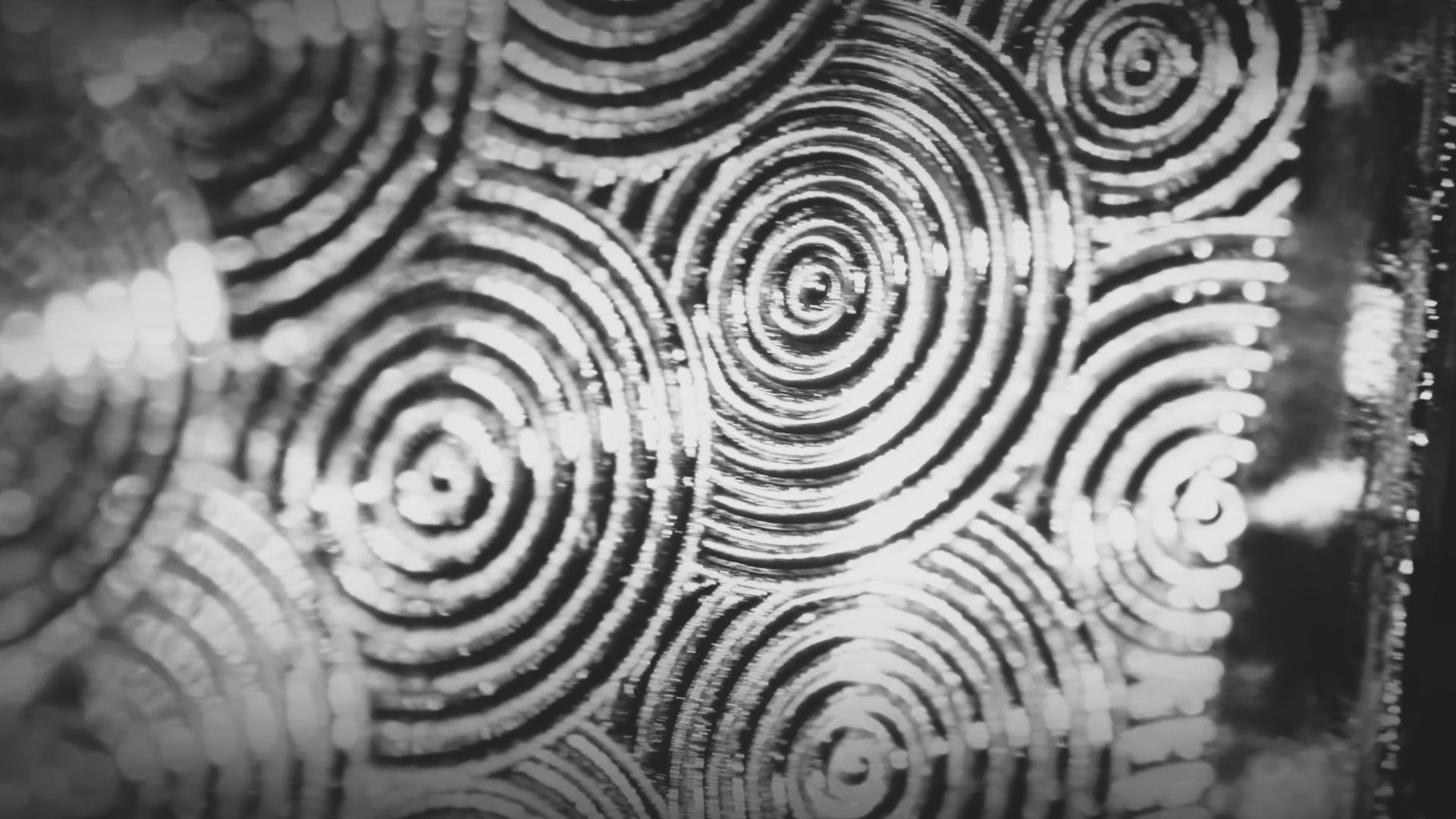 Close-up of concentric circular patterns in black and white with a textured, reflective surface.