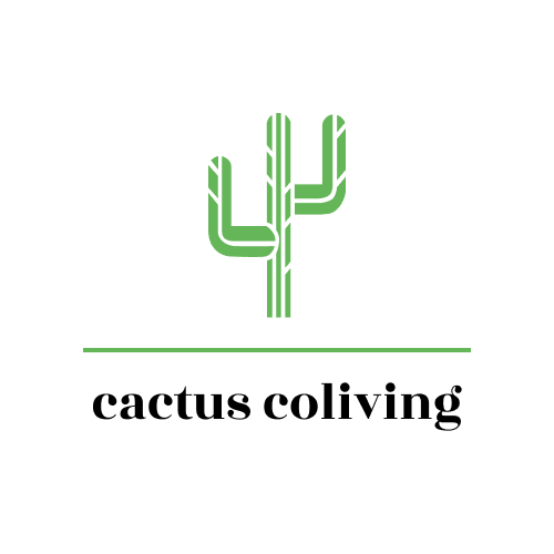Cactus Coliving | Live & Work in the Canary Islands