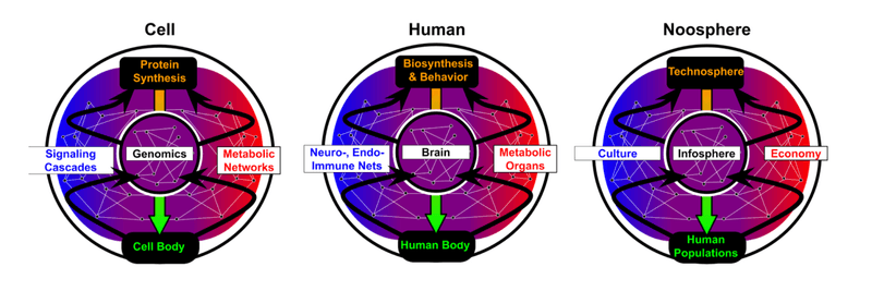 Noosphere and the Global Brain