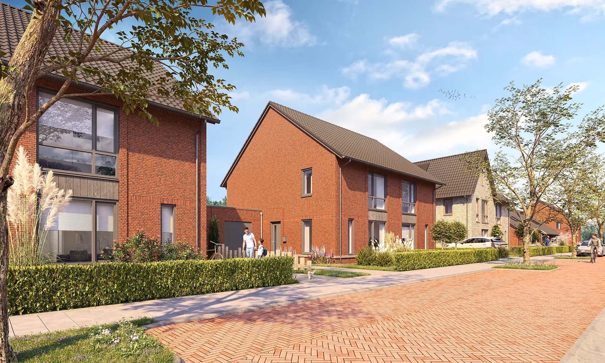 Akkerwinde fase 3 Schaijk