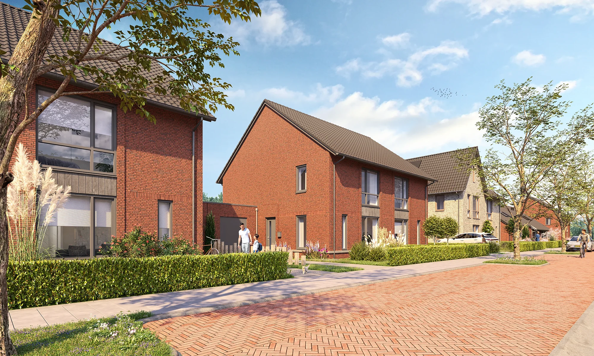 Akkerwinde fase 3 Schaijk