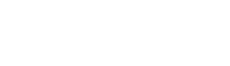 Triple Core