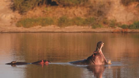 Południowa Afryka 🇿🇦 – Kruger Park i łatwość podróżowania