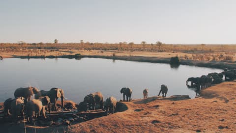 Zimbabwe 🇿🇼 – Autentyczne safari bez tłumów