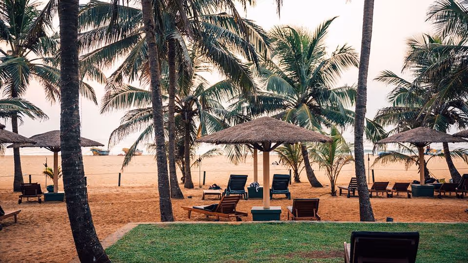 🌴 Egzotyczny Tydzień na Sri Lance! 🇱🇰