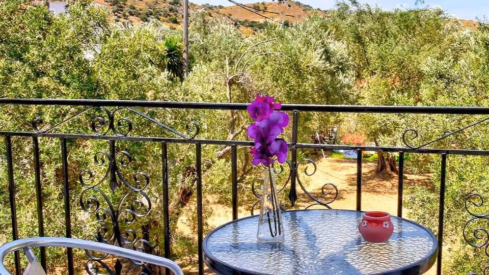 Tani Urlop na Lesbos! 🇬🇷