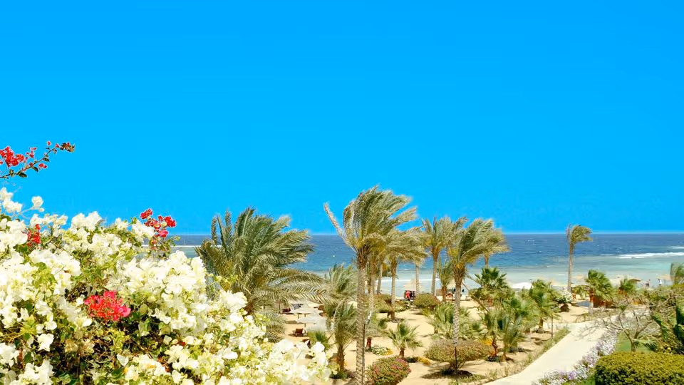 5⭐ All Inclusive w Marsa Alam! 🇪🇬