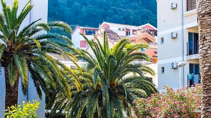 Tani Urlop w Czarnogórze! 🇲🇪