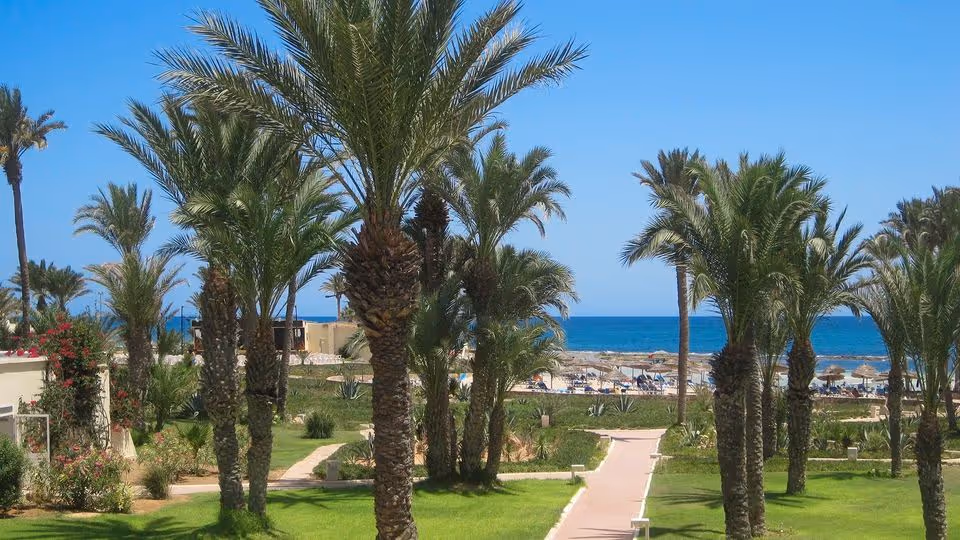 🇹🇳 Tunezja All Inclusive w Świetnej Cenie! 🐠